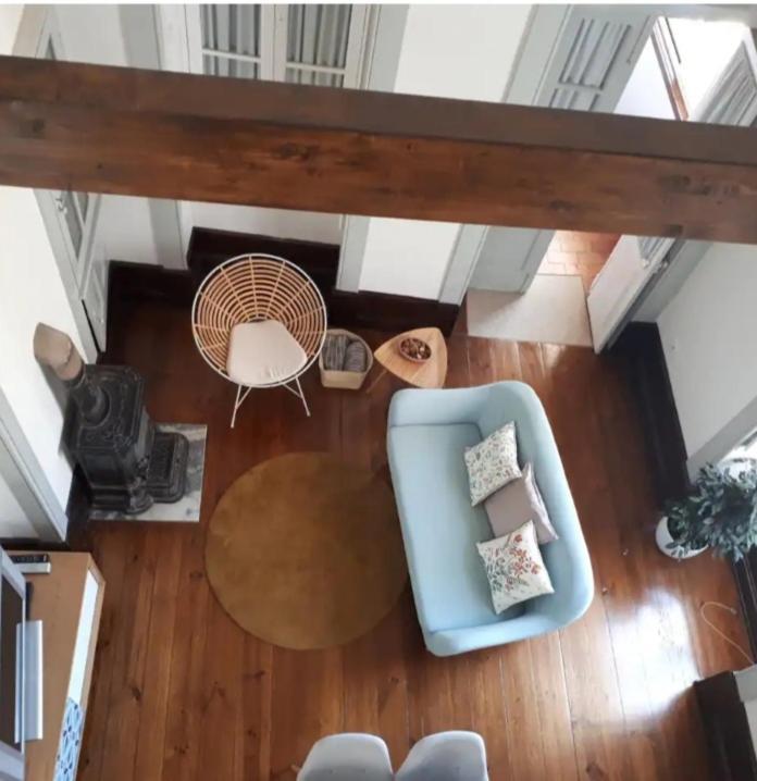 Ficus Benjamina Apartment *